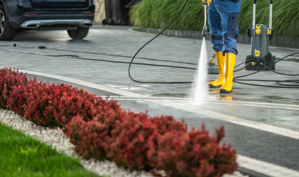 Best Exterior Home Cleaning  in Cedar Bluff, AL