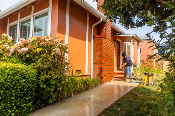 Best Affordable Power Washing  in Cedar Bluff, AL
